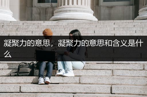 凝聚力的意思，凝聚力的意思和含义是什么